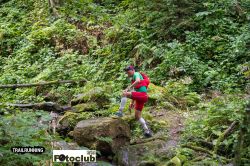 2022-08-20 - ART_5382